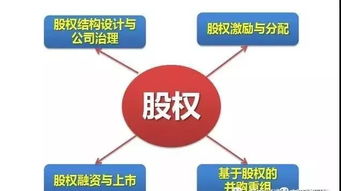 股权投资最强大的武器 资本思维